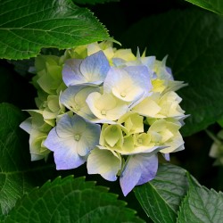 image01